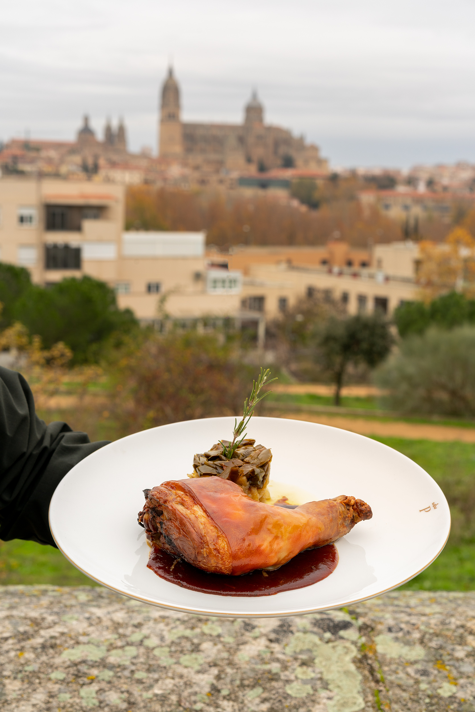 imagen plato Salamanca