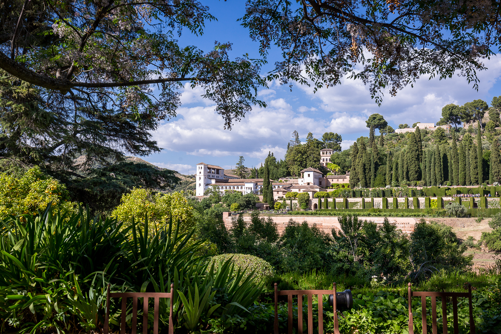 Im Herzen der Alhambra