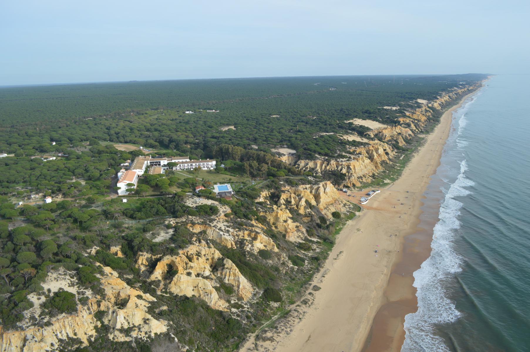 In the heart of Doñana