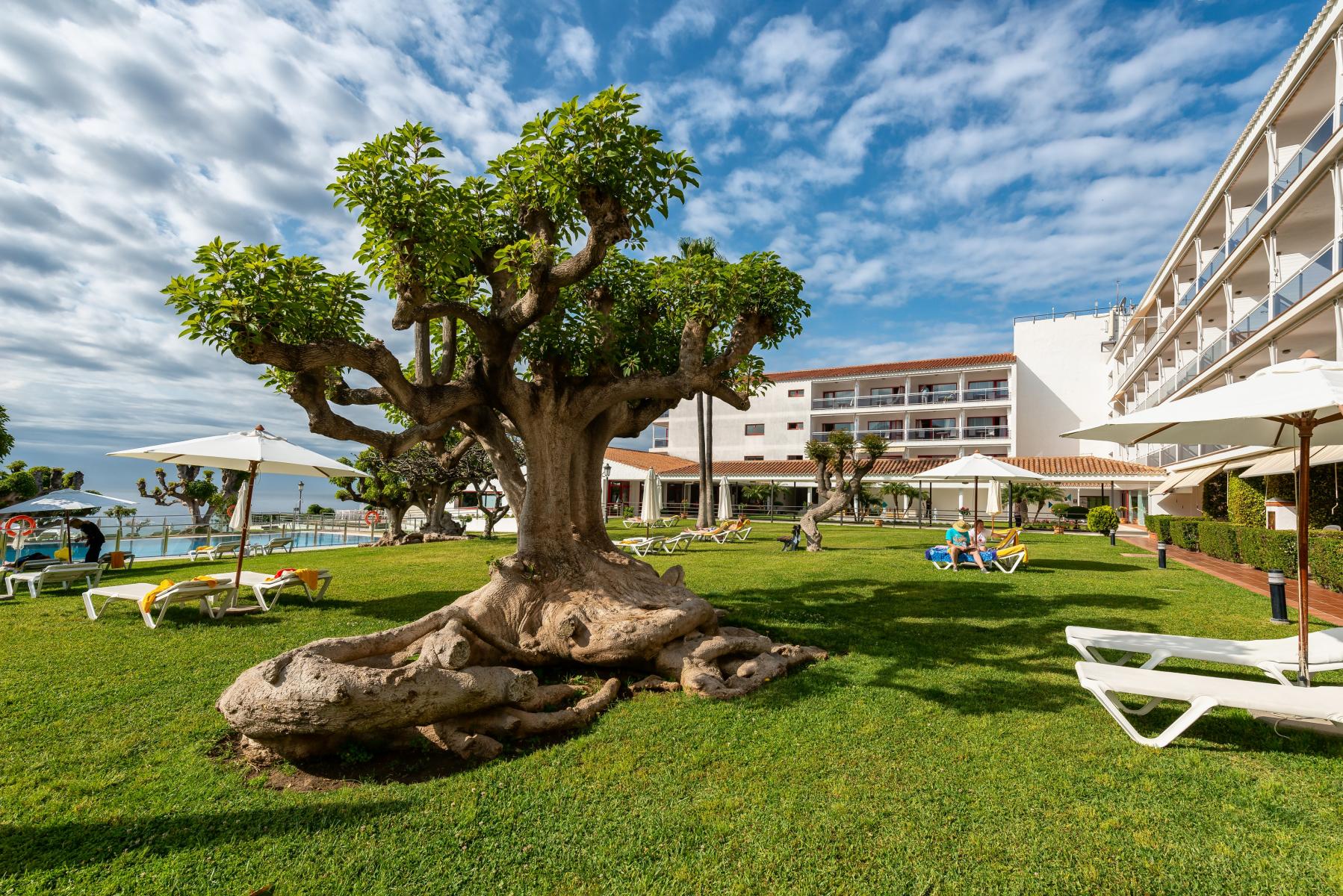 Jardines sobre el Mediterráneo