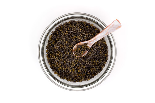 Caviar ecológico Riofrío