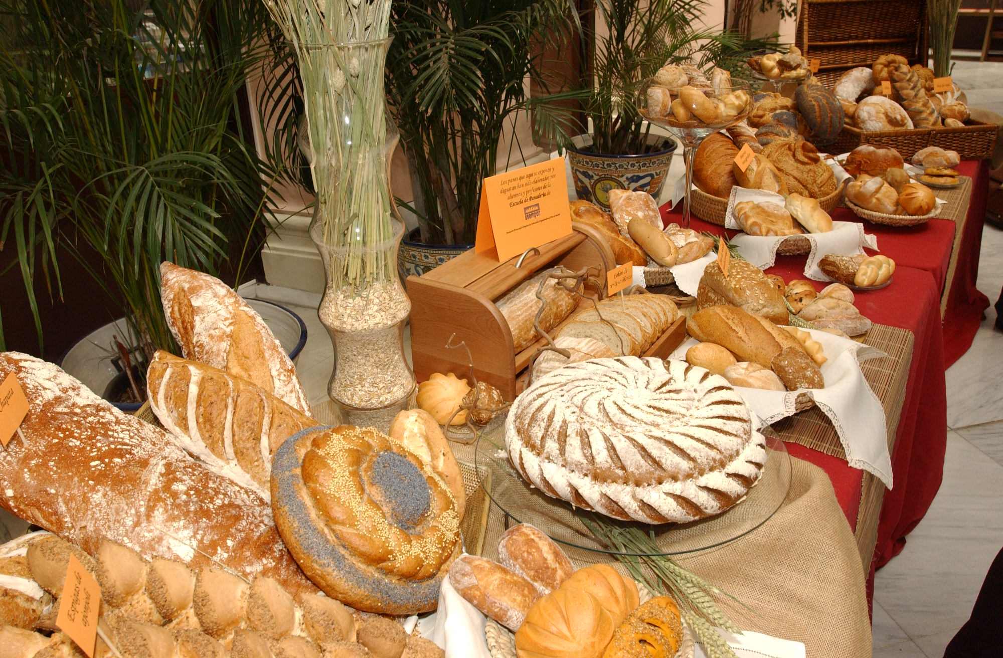 Bodegón de panes artesanos