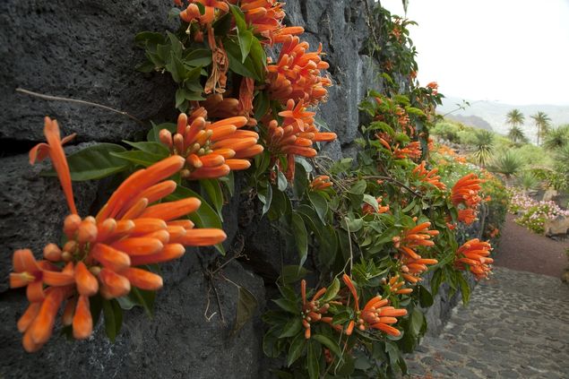 Parador La Palma