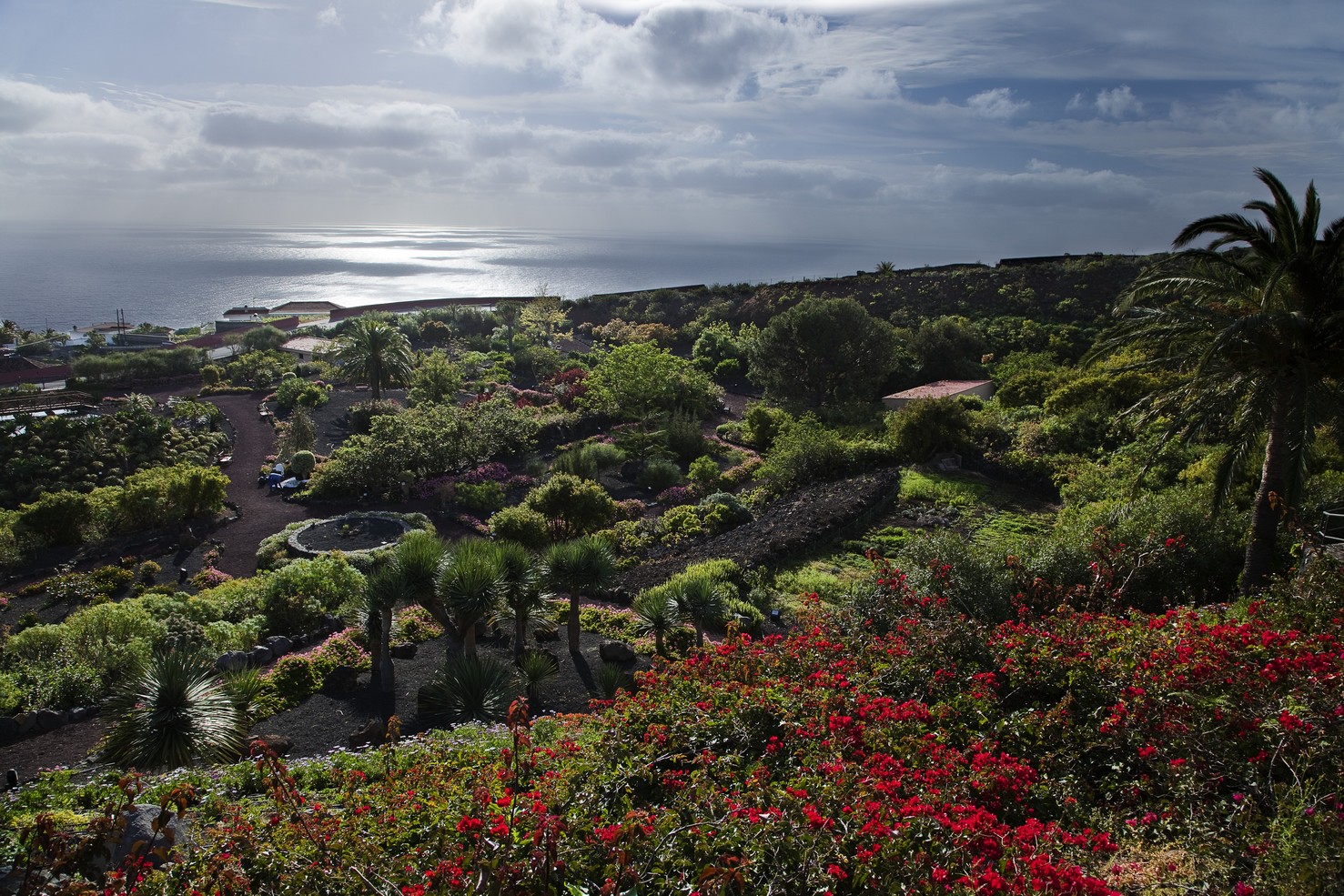 Parador de La Palma