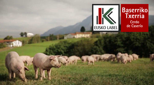 Cerdo de Caserío o Baserriko Txerria con Eusko Label