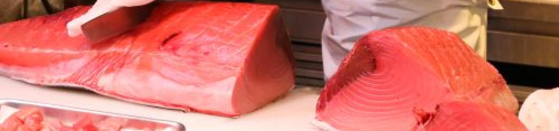 atun_redi.jpg atun_redi.jpg