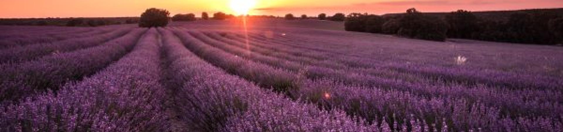 brihuega_puesta_de_sol_shutterstock_1913522377_redi.jpg brihuega_puesta_de_sol_shutterstock_1913522377_redi.jpg