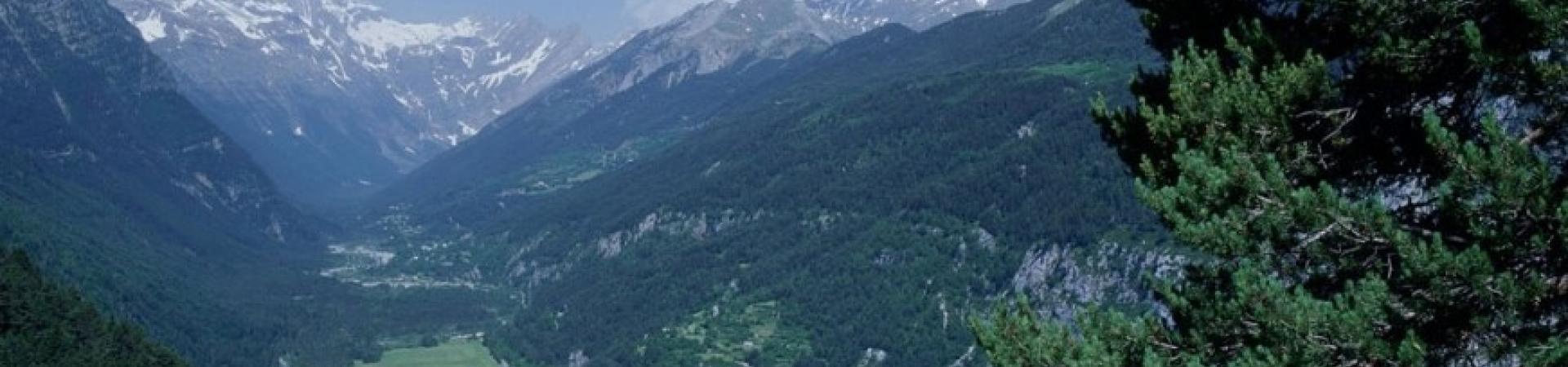 entorno_03.jpg entorno_03.jpg