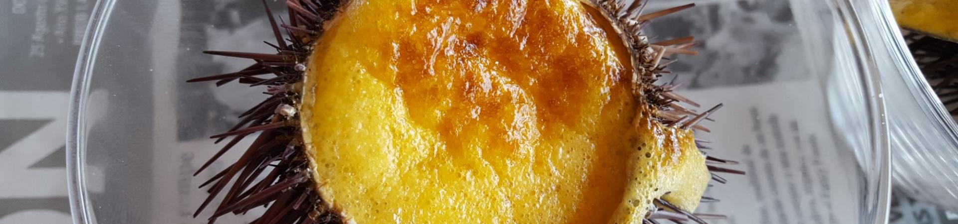 erizo_gratinado_parador_de_cadiz.jpg erizo_gratinado_parador_de_cadiz.jpg