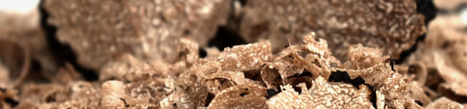 fresh-truffles-4539044_640.jpg fresh-truffles-4539044_640.jpg