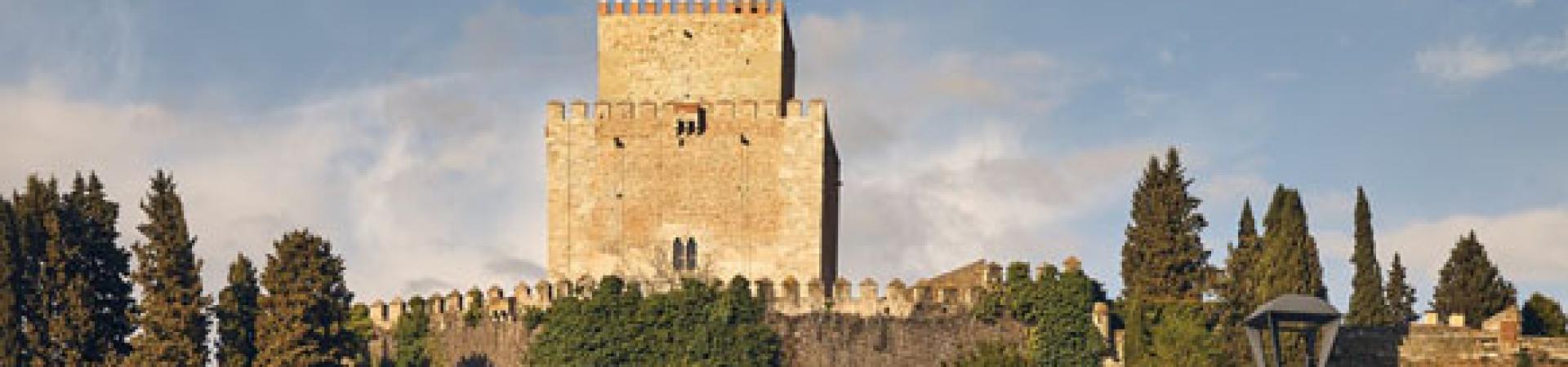 parador_de_ciudad_rodrigo_48.jpg parador_de_ciudad_rodrigo_48.jpg