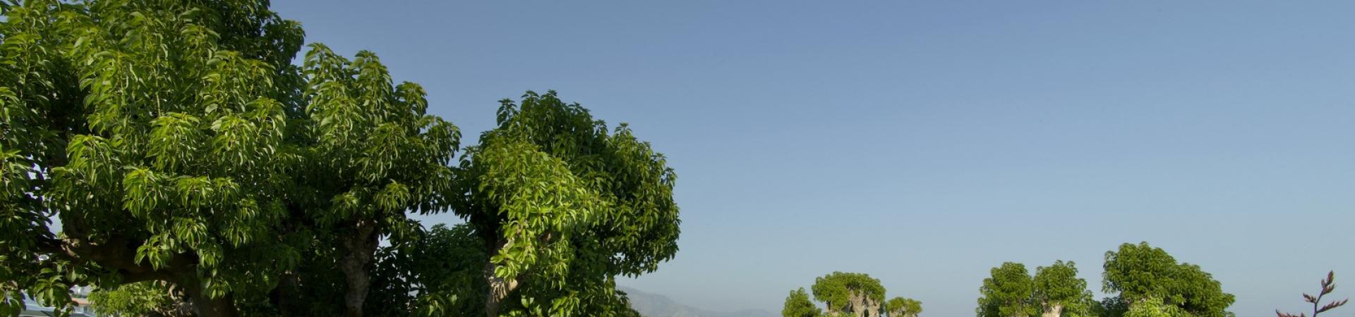 parador_de_nerja_25.jpg parador_de_nerja_25.jpg
