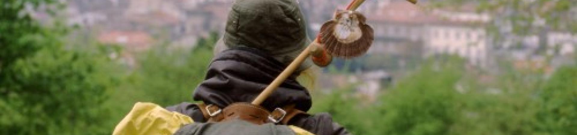 peregrino2.jpg peregrino2.jpg