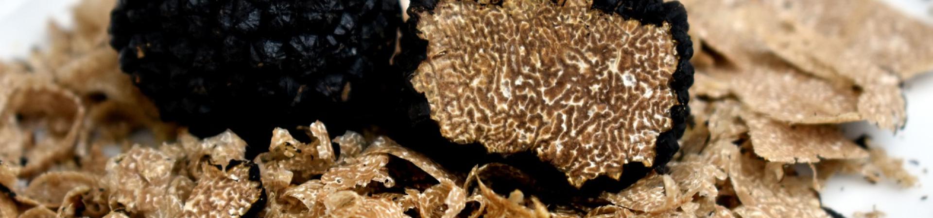 truffles-4539078_1280.jpg truffles-4539078_1280.jpg