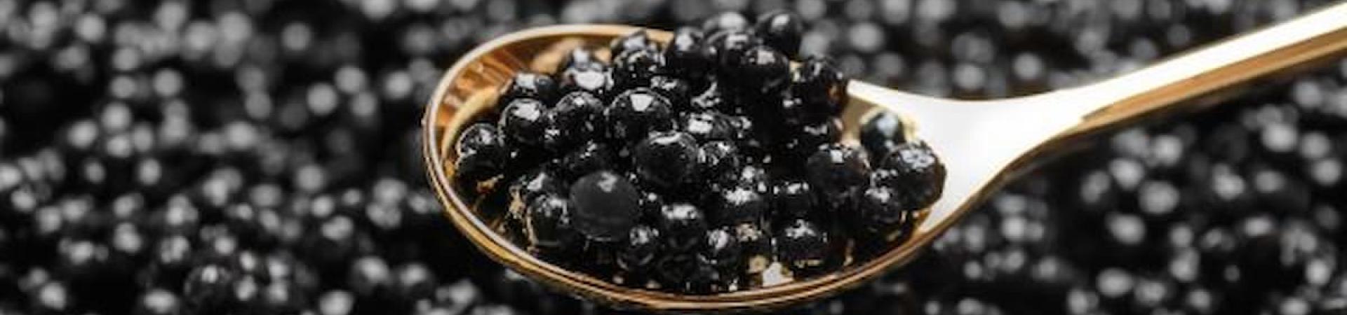 caviar