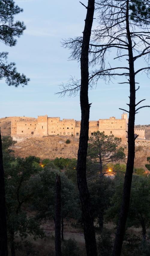 Vista desde los árboles del castillo del Parador de Sigüenza