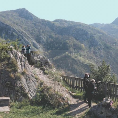 Naturaleza para los Sentidos Cangas de Onís - Desfiladero de Los Beyos