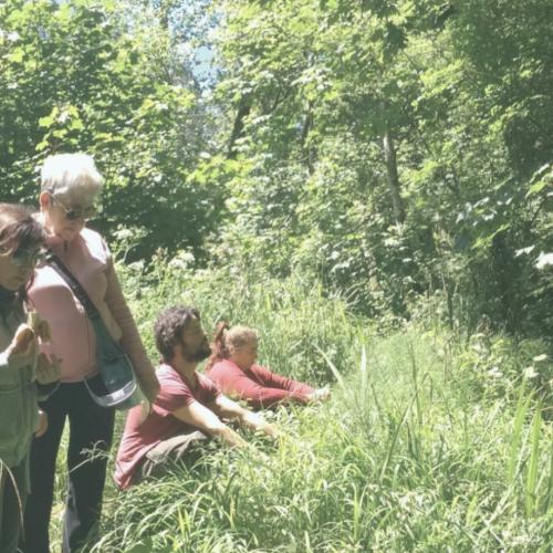 Naturaleza para los Sentidos Cangas de Onís - La botica