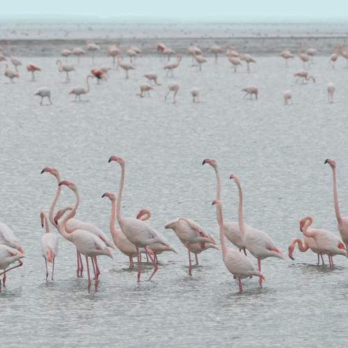 Naturaleza para los Sentidos Mazagón - Mirando al cielo