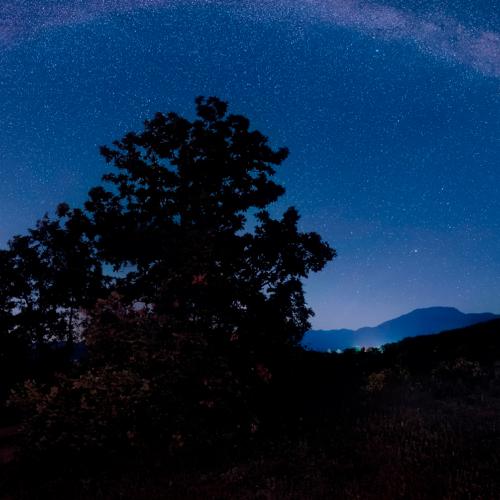 Naturaleza para los Sentidos Mazagón - Las estrellas