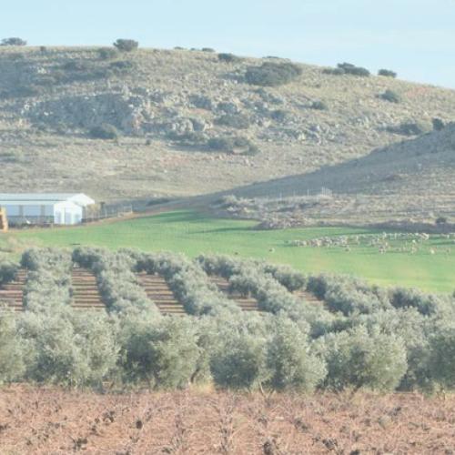 Naturaleza para los Sentidos Almagro - Pastores de la estepa