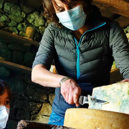 Naturaleza para los Sentidos Cangas de Onís - Cata de quesos y sidras