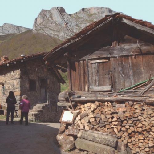 Naturaleza para los Sentidos Cangas de Onís - Gargantas de Ponga