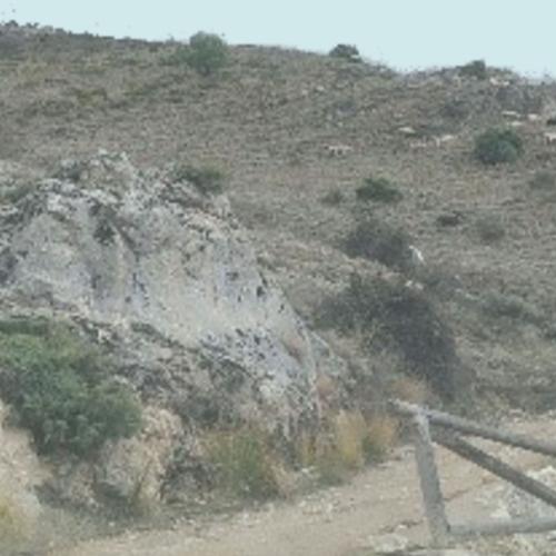 Naturaleza para los Sentidos Cazorla: En busca del pasto