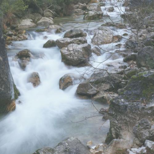 Naturaleza para los Sentidos Cazorla: El aula de la naturaleza