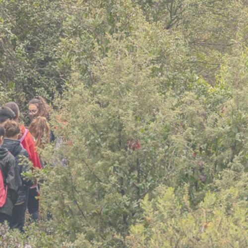 Naturaleza para los Sentidos Cazorla: La sal del bosque