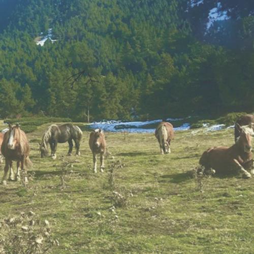 Naturaleza para los Sentidos Parador de Arties y Vielha: A través de los sentidos