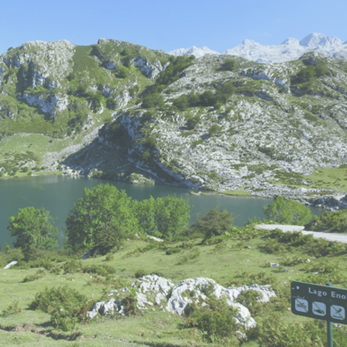 Naturaleza para los sentidos Parador de Cangas de Onís: Naturaleza y quesos en los lagos de Covadonga