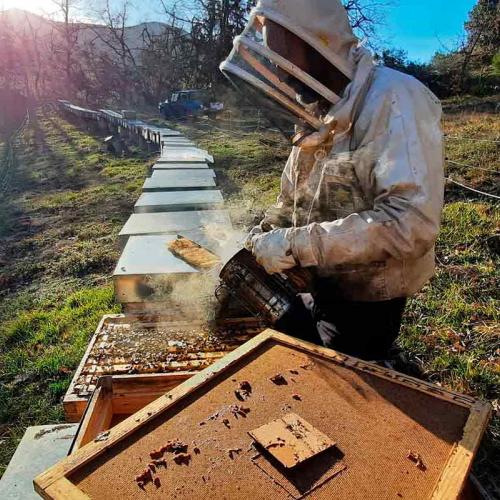 Experiencia de las abejas en Fuente Dé