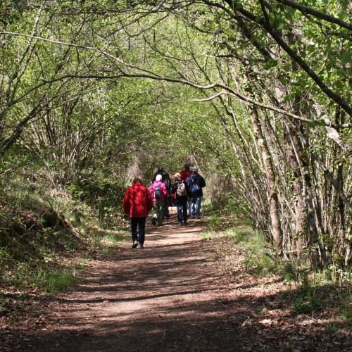 La ruta de las brujas y las plantas medicinales en el Parador de Vic - Sau