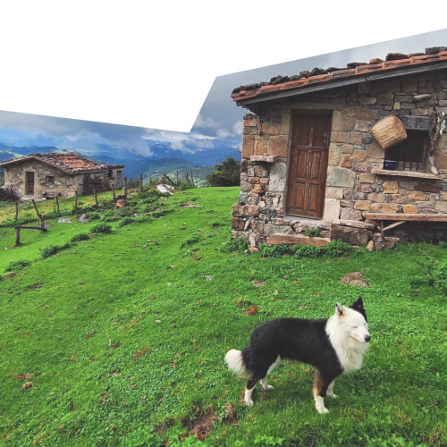 Pastores y biodiversidad en el Parador de Cangas de Onis