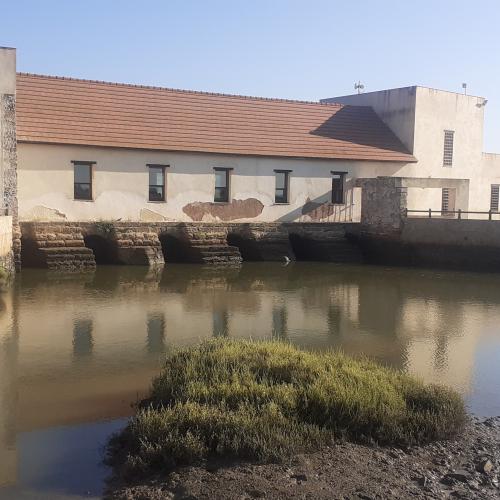 Del campo al mar en el parador de Ayamonte