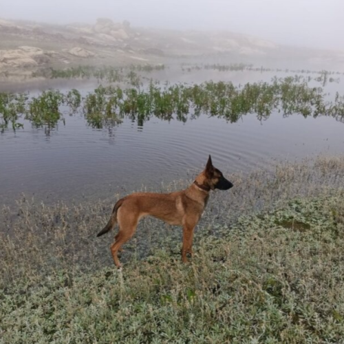 Aprendiendo la ecodeteccion en el Parador de Ciudad Rodrigo