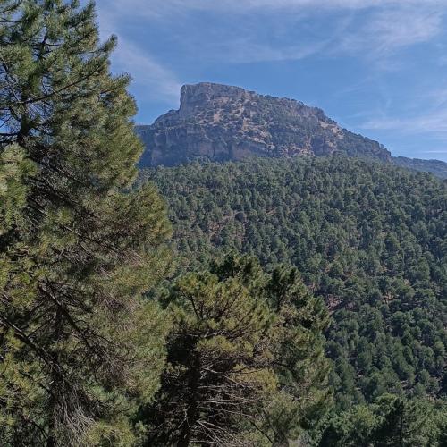 caminos en el parador de cazorla