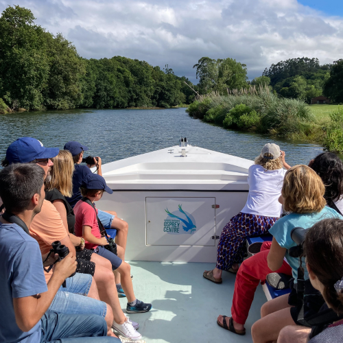 Ruta del águila pescadora en la bahía de Santander