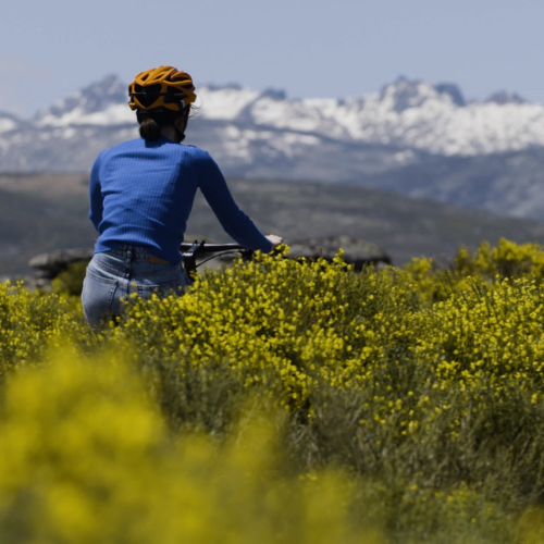 NPLS Gredos