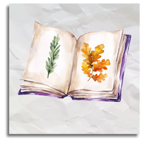 Memoria de sostenibilidad