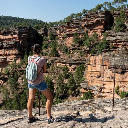 Naturaleza para los Sentidos en los Paradores de Molina de Aragón y Sigüenza: Rutas molinesas