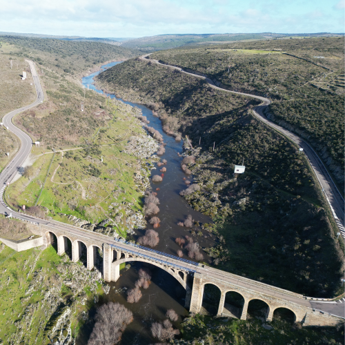 Siega Verde - Actividad NPLS