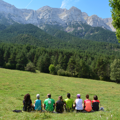 NPLS - El último cátaro 