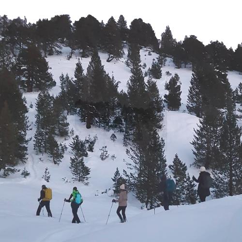 Naturaleza para los Sentidos en los Paradores de Arties y Vielha: Caminos de nieve