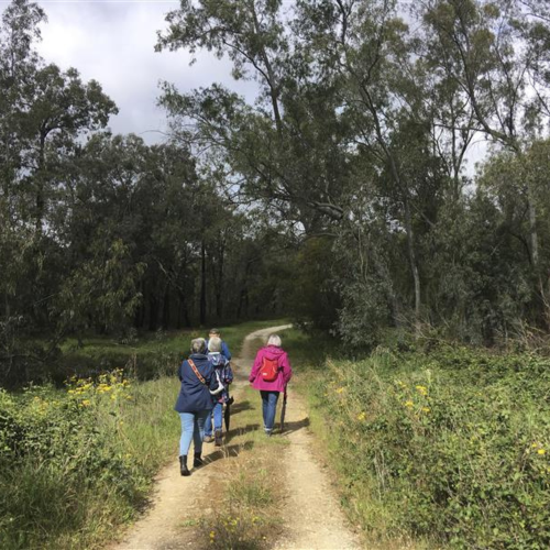 El bosque de las antípodas en el Parador de Mazagón