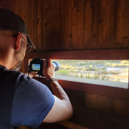 Las aves de las marismas del Odiel en el Parador de Mazagón
