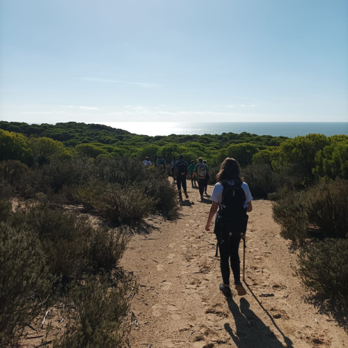 Visita a la laguna del jaral en el Parador de Mazagón