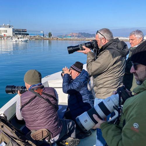 NPLS - Parador de Limpias - Observación y fotografía de aves acuáticas