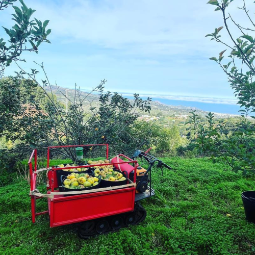 sabores-del-lagar-img